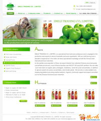 外貿公司網站開發與設計 打造專業、高效的數字門戶